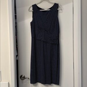 Ann Taylor polka dot dress 12